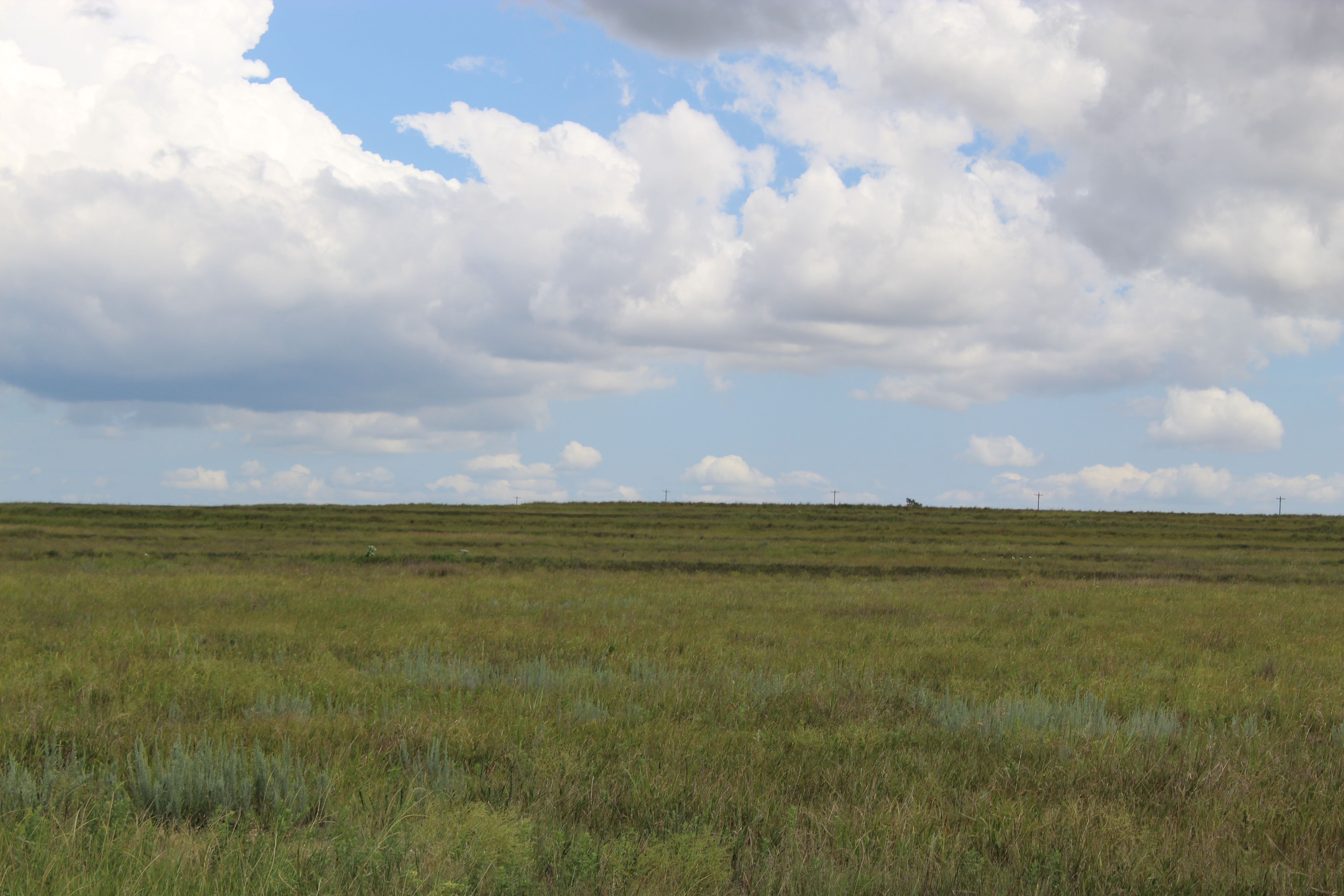 160± ACRES GRASSLAND
